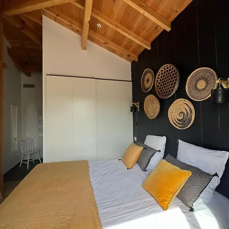 Maison De 4 Etoiles, Sud * Mimizan-Plage