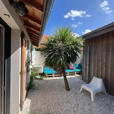 Maison De 4 Etoiles, Sud * Mimizan-Plage