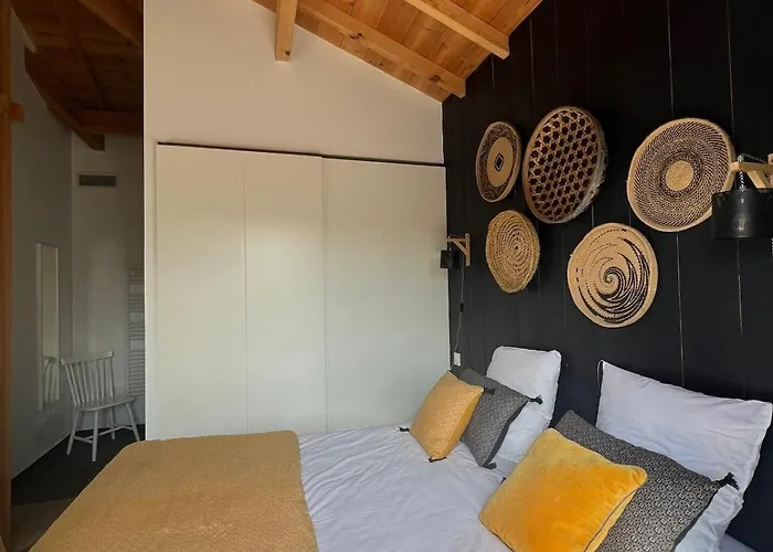 Maison De 4 Etoiles, Sud * Mimizan-Plage