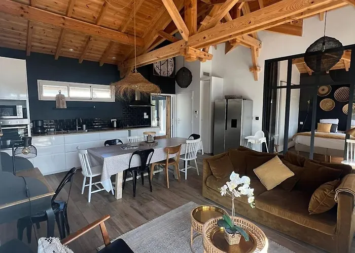 Maison De 4 Etoiles, Sud Mimizan-Plage